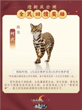 开阔天龙八部私服